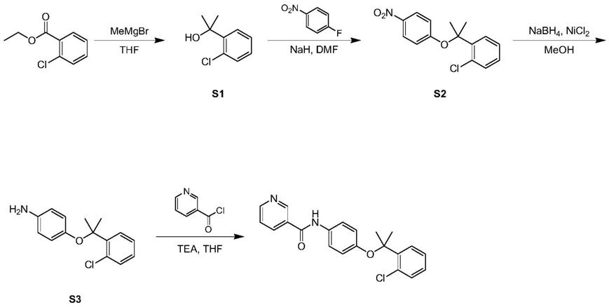 具有抗肿瘤转移的小分子化合物及其制备方法与流程