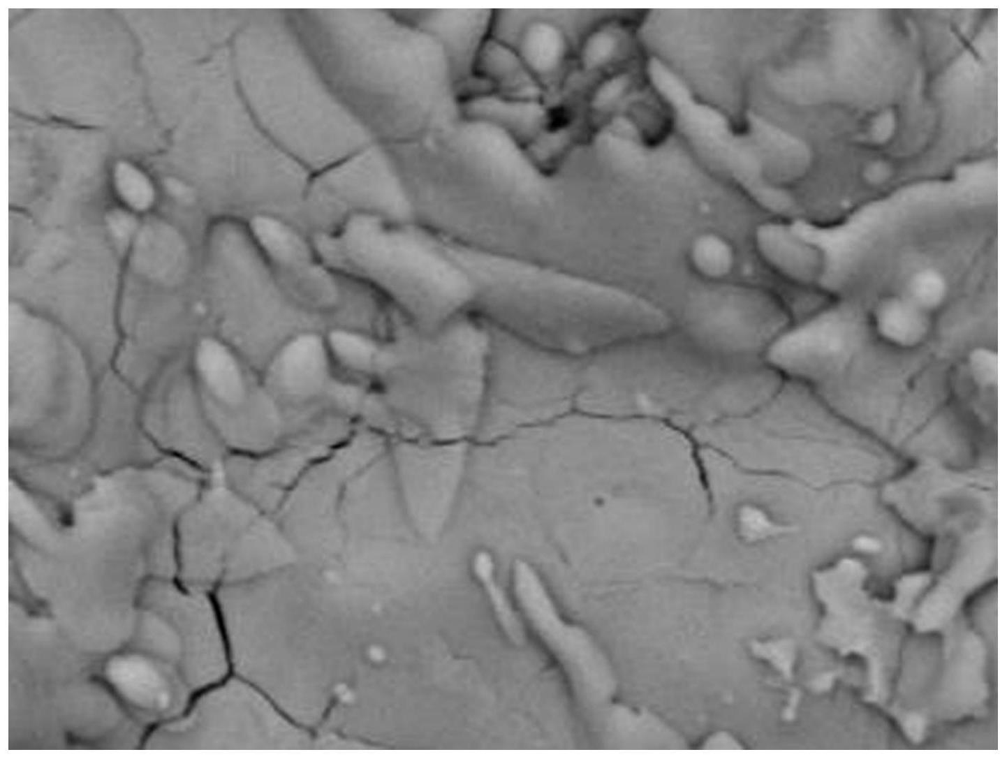 一种N-SiC/Al2O3纳米复合防腐蚀涂层及其制备方法与流程