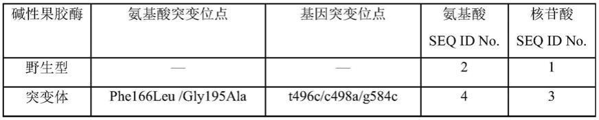 一种耐热碱性果胶酶突变体及其制备与应用的制作方法