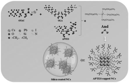 钙钛矿纳米晶材料及其制备方法和应用与流程