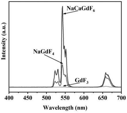 一种可溶解于极性溶剂的Yb/Er共掺杂β-NaCaGdF6纳米荧光材料的制备方法与流程