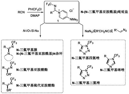一种N-（N-三氟甲基亚胺酰基）吡啶盐的制备方法及应用与流程