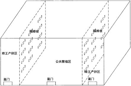 一种抗螨防病的蜂群繁育方法与流程