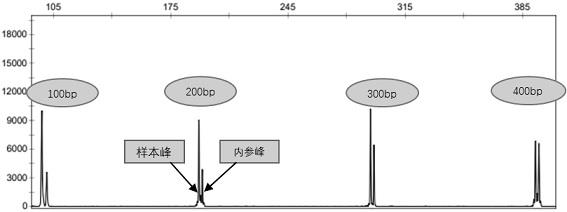 一种核酸完整性评估试剂盒及评估方法与流程