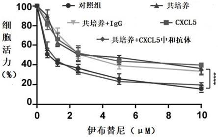 CXCL5抑制剂在制备治疗肿瘤的药物中的应用的制作方法