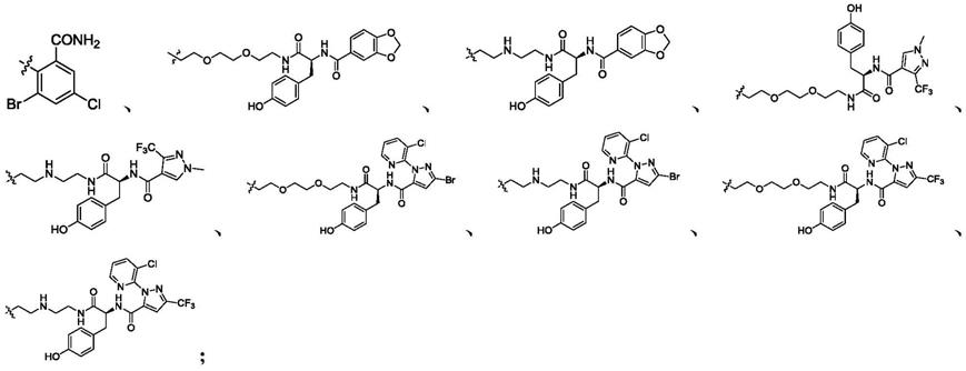 一种酪氨酸衍生物及其制备方法和应用与流程
