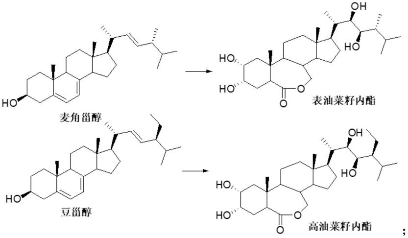 一种甾体化合物的24位取代基由α构型转位成β构型的方法与流程
