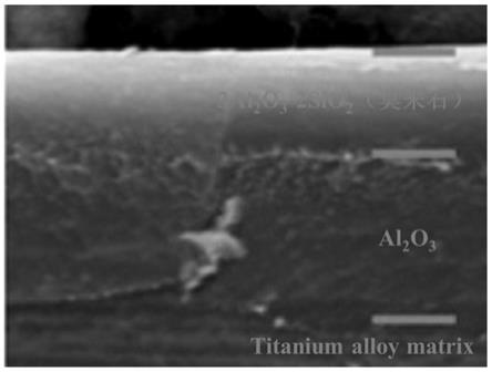 一种钛合金用Al2O3_莫来石梯度防氧化涂层及其制备方法与流程