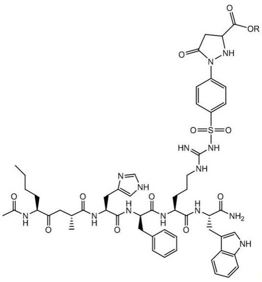 一种乙酰基六肽-1衍生物及其应用的制作方法