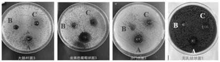 一种提高母猪羊水量和PSY的发酵复方中药添加剂及其制备方法与流程