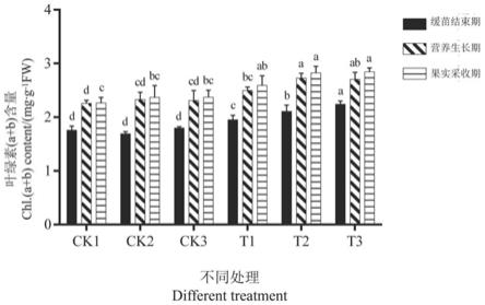 一种植物营养液充气灌溉草莓的方法与流程