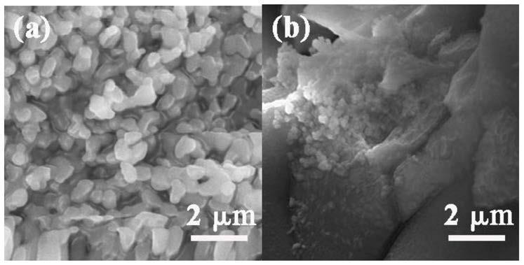 一种镁钙钛微波介质陶瓷粉体及其制备方法和应用与流程
