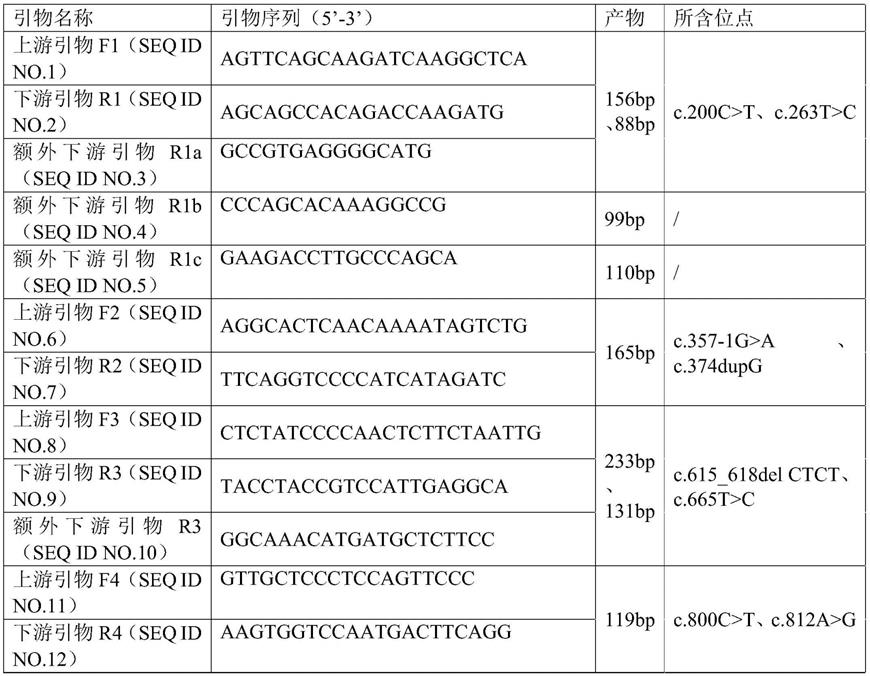 检测SLC10A1基因的多个突变位点的悬浮磁珠液相芯片试剂盒的制作方法