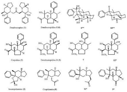 一种玫瑰石斛吲哚生物碱类化合物、制备方法及应用与流程
