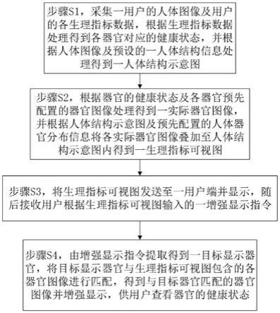 一种生理指标可视化的显示方法及系统与流程