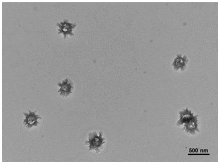 一种编码SARS-CoV-2抗原的mRNA及mRNA疫苗的制作方法