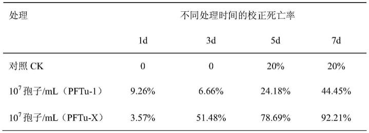 一株具有杀虫活性的病原真菌及其应用的制作方法