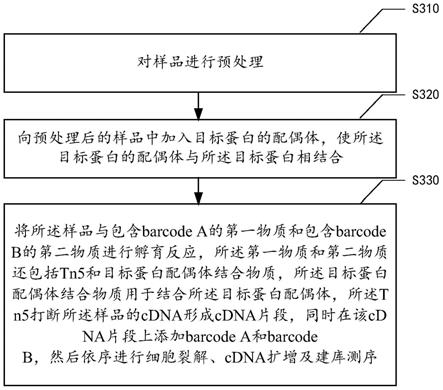 一种单细胞表观转录组学测序方法与流程