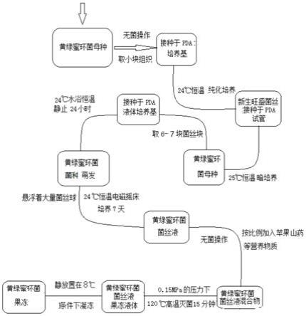 一种用黄绿蜜环菌菌丝制备营养果冻的方法与流程