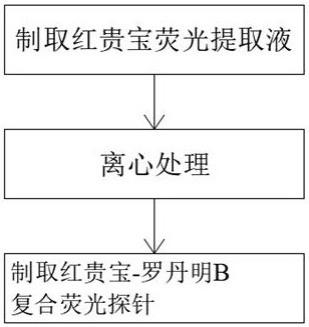 一种红贵宝-罗丹明B复合荧光探针的制备方法与流程